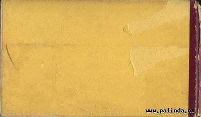 Fokkie Flink : De gouden vogel van den maharadja. 2