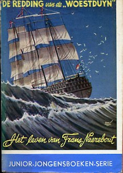 Junior-jongensboeken-serie : De redding van de Woestduyn. 1