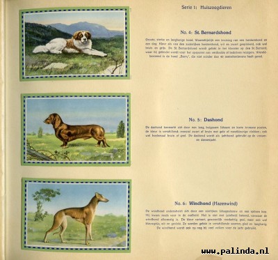 Plakplaatjesboek : Zoogdieren. 5